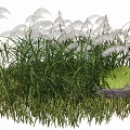 Lush Tall Grass with Feathery White Plumes and Natural Stone Accent