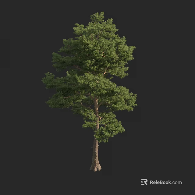 Single Lush Green Arbor Tree With Dense Foliage And Brown Trunk 3d model
