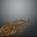 Highly Detailed Golden Fish Skeleton Showing Organ Structure And Bone Features