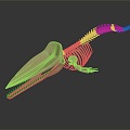 Modern Skeleton Fish Skeleton Whale Skeleton Animal Skeleton 3d model