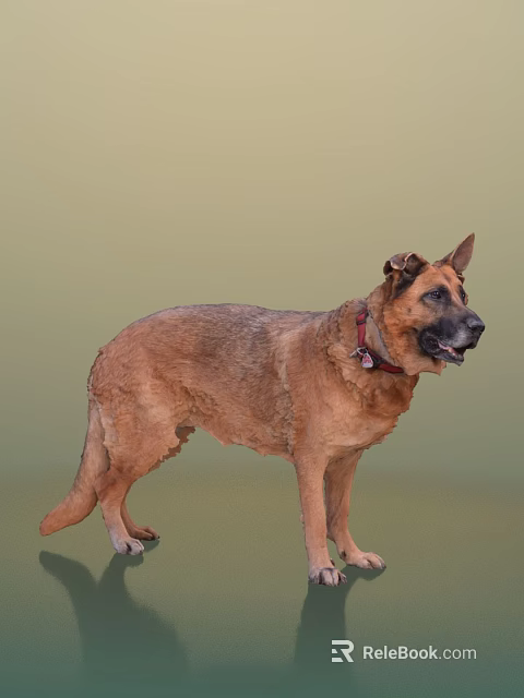 Brown Reptile Wearing Red Collar Standing On Green Background Surface 3d model