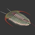 3D Rendered Trilobite With Green Red Body Long Antennae And Exoskeleton