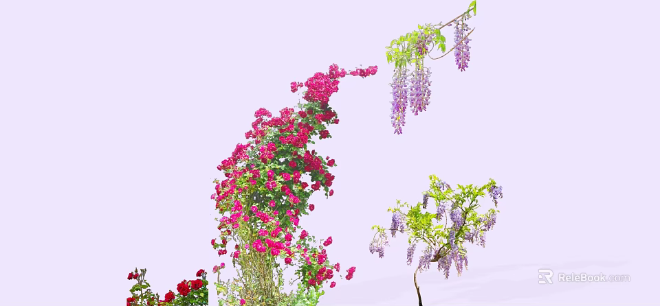 Climbing Vines Adorned With Pink Purple Flowers And Lush Green Leaves 3d model 