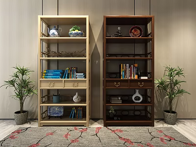 Two Light And Dark Wood Bookcases With Books Decorations Drawers And Potted Plants On Rug 3d model