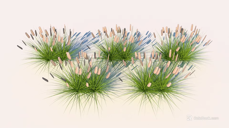 Green Grass Plants With Light Colored Spike Flowers And Natural Shadow 3d model 