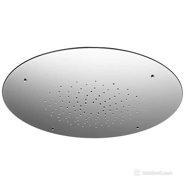 Round Stainless Steel Shower Head With Polished Surface And Multiple Spray Holes 3d model 