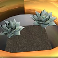 Two Light Blue Succulent Plants Beautifully Displayed On Dark Background