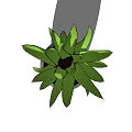 Aloe Vera Potted Plant With Vibrant Green Leaves In Gray Pot