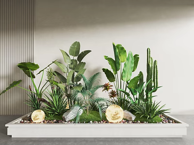 Garden Decorative Display With White Rectangular Planter Green Plants Large Leaves Cactus Pebbles And Moss 3d model