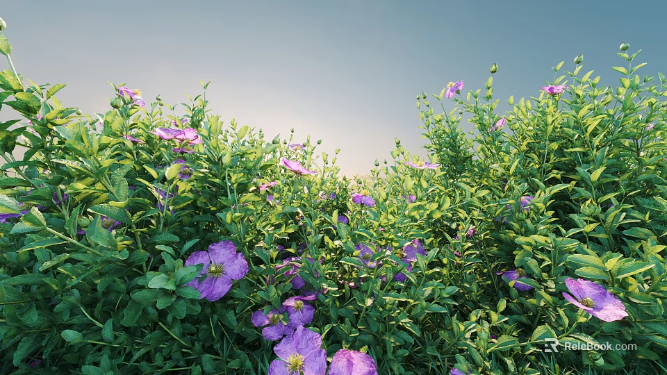 Green Shrubs With Purple Flowers Against Blue Sky Lush Garden Scene 3d model 