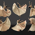 Woman Dancing in Flowing Pink Dress with Various Poses and Reflections on Black Background