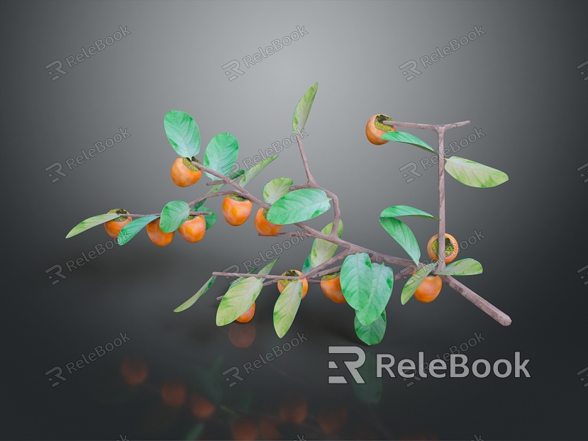 Persimmon tree fruit model