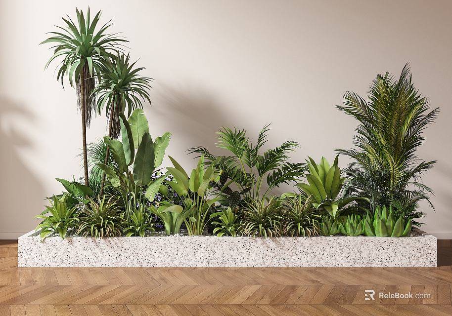 Various Green Potted Plants In Long White Stone Planter With Light Wall And Wooden Floor 3d model 