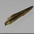 Brown And White Spotted Moray Eel With Long Slender Body On Smooth Reflective Surface 3d model