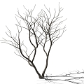 dead tree 3d model