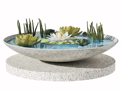 Shallow Basin Aquarium With Blue Water White Lotus Flowers Green Aquatic Plants On Stone Base 3d model