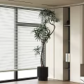 Bonsai Plant with Curved Branches by Window with White Blinds in Black Pot and Shelves