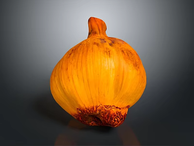 Ripe Yellow Onion With Textured Outer Skin On Dark Reflective Surface 3d model