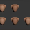 Five Male Bald Head Models With Different Angles And Realistic Facial Features