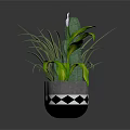 Stylish Indoor Houseplants in Decorative Ceramic Pots with Geometric Patterns and Reflections on Dark Background