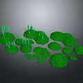 Lush Green Plants With Various Round Shapes And Grass Like Foliage Arranged On Ground