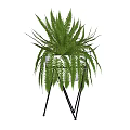 Modern Fern Bonsai Potted Plant With Metal Stand For Indoor Decor