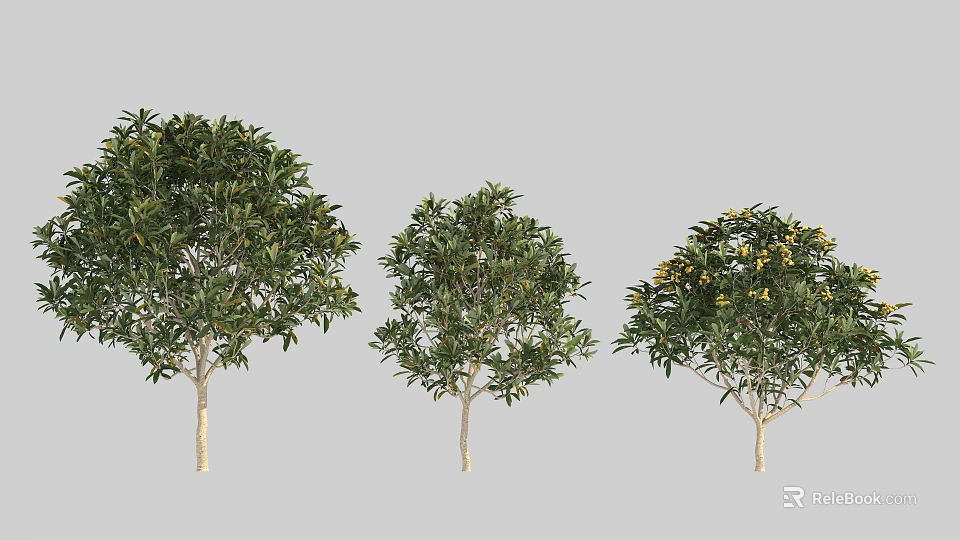 Garden Shrubs with Green Foliage Different Sizes and Yellow Flowers for Landscaping Design 3d model 