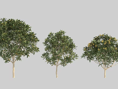 Garden Shrubs with Green Foliage Different Sizes and Yellow Flowers for Landscaping Design 3d model