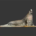 Realistic Seal Sculpture In Lying Pose With Rocky Base And Open Mouth
