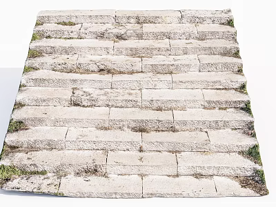 Worn Stone Stairs With Grass Growing On Steps And Weathered Texture 3d model