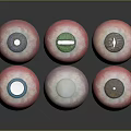 Multiple Eye Organ Models With Various Colored Irises And Eyelashes Design 3d model