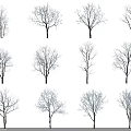 Snow Covered Arbor Trees With Bare Branches Against Gray Background 3d model