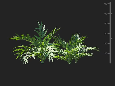 Green Crop With Feathery Leaves And Vertical Scale Showing Growth Height Measurement 3d model