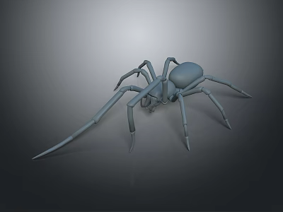 Realistic Gray Spider 3D Model With Detailed Legs And Smooth Surface 3d model