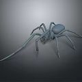 Realistic Gray Spider 3D Model With Detailed Legs And Smooth Surface