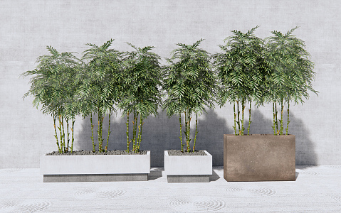 Modern potted bamboo potted plant 3d model