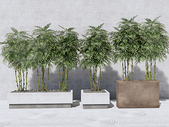 Modern potted bamboo potted plant 3d model