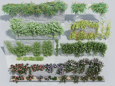Various Climbing Vines with Green Leaves and Colorful Flowers on Walls and Trellises 3d model