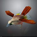 Colorful Bird With Red Wings Pink Body Yellow White Feathers Blue Beak In Gray Background