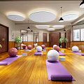 Yoga Fitness Studio Interior With Colored Yoga Balls Mats And Wooden Floors