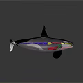 Colorful Orca Aquatic Animal With Vibrant Lights And Shiny Reflection Surface
