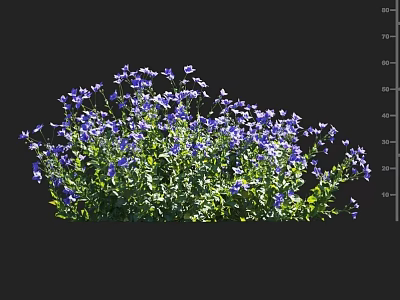 Lush Flowering Shrub With Blue Flowers And Vibrant Green Leaves 3d model