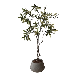 bonsai plant ornaments plant green plants 3d model