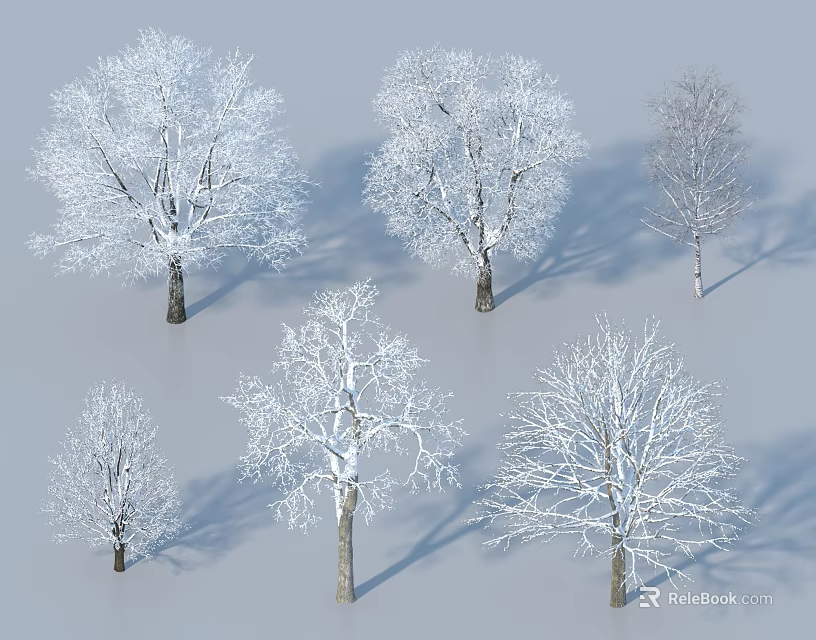 Snow Covered Arbor Trees with Slender Trunks and Snowy Branches Against Gray Background 3d model