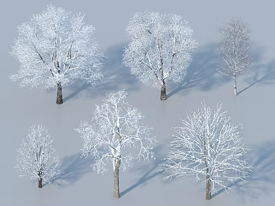 Snow Covered Arbor Trees with Slender Trunks and Snowy Branches Against Gray Background 3d model