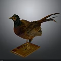 Pheasant Taxidermy With Vibrant Green Head Red Chest And Colorful Tail On Wooden Base