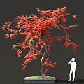 Vibrant Red Leaved Tree With Square Planter Base And Green Grass Near White Silhouette Figure