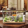 Clear Glass Indoor Aquarium With Goldfish Aquatic Plants Rocks And Sand