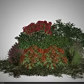 Colorful Shrubs with Red White Orange Pink Flowers and Green Foliage in Garden Landscape