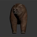Realistic Brown Bear 3D Model With Detailed Fur Texture And Standing Pose 3d model